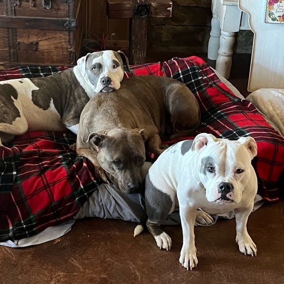 Meet your Posher, Brandi - Picture 9 of 9